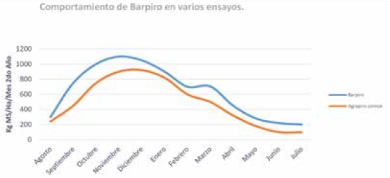 barenbrug_agropiro_barpiro