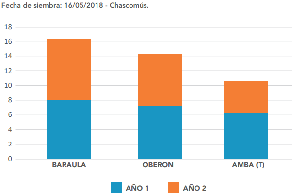 graph 1 Oberón
