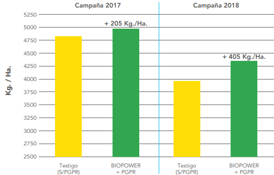 graph 1 Trigo - Cebada