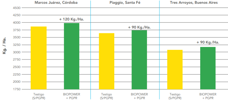 graph 2 Trigo - Cebada