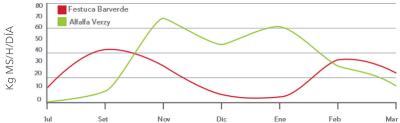 graph Barverde