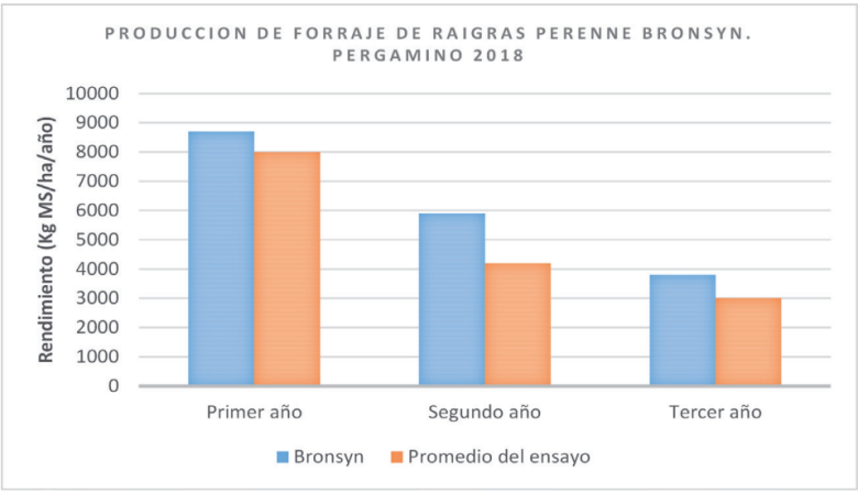 graph Bronsy