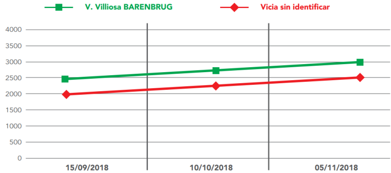 graph vicia