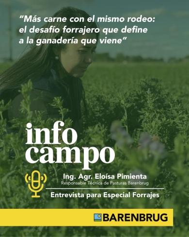 Entrevista Eloisa Pimienta