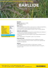 Ficha técnica_BARENBRUG_BARLLIDE