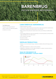 Ficha técnica_BARENBRUG_Festuca BARVERDE.pdf