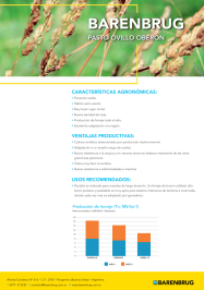 Ficha técnica_BARENBRUG_Pasto Ovillo OBERON.pdf