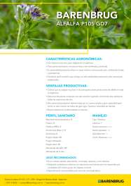Ficha técnica_BARENBRUG_P-105.pdf