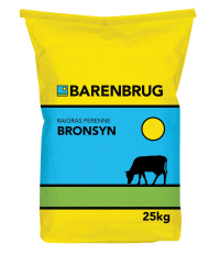 RaigrasPerenneBRONSYN