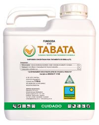 Tabata Barenbrug