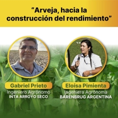 Seminario Arveja Barenbrug